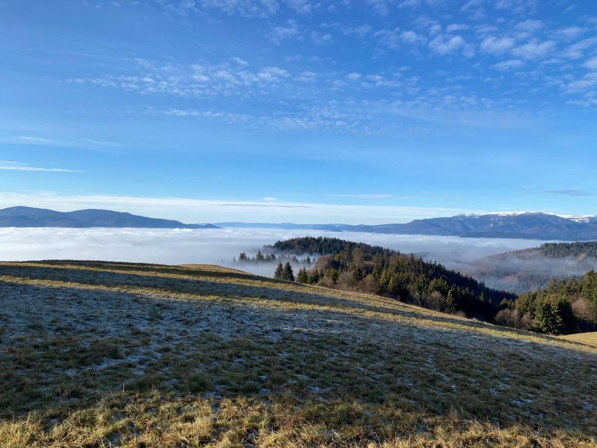 Penzion v strani Mýto pod Ďumbierom Exteriér fotografie